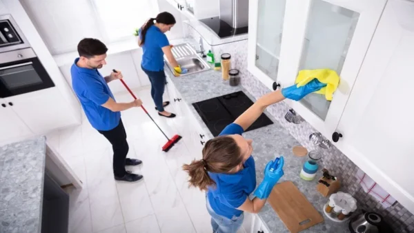 Basic Kitchen Cleaning